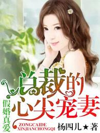 假婚真爱总裁心尖宠大结局 假婚真爱总裁心尖宠大结局