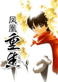 hp之凤凰重生TXT hp之凤凰重生TXT