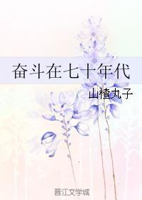 奋斗在七十年代女穿男 奋斗在七十年代女穿男