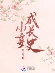 小妾类 小妾类