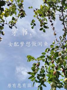 穿书女配只想当咸鱼小小 穿书女配只想当咸鱼小小