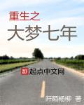 重生之大梦七年类似的 重生之大梦七年类似的