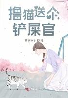 铲屎官的猫是什么体验 铲屎官的猫是什么体验